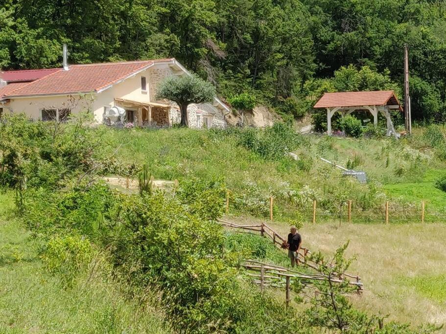 Chambre Double En Pleine Nature "La Clairiere De L'Ange" Peyrins Екстериор снимка